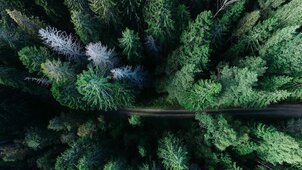 Photo by Geran de Klerk